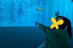 부디 간절한 마지막 기도가 하늘에 닿기를 기…